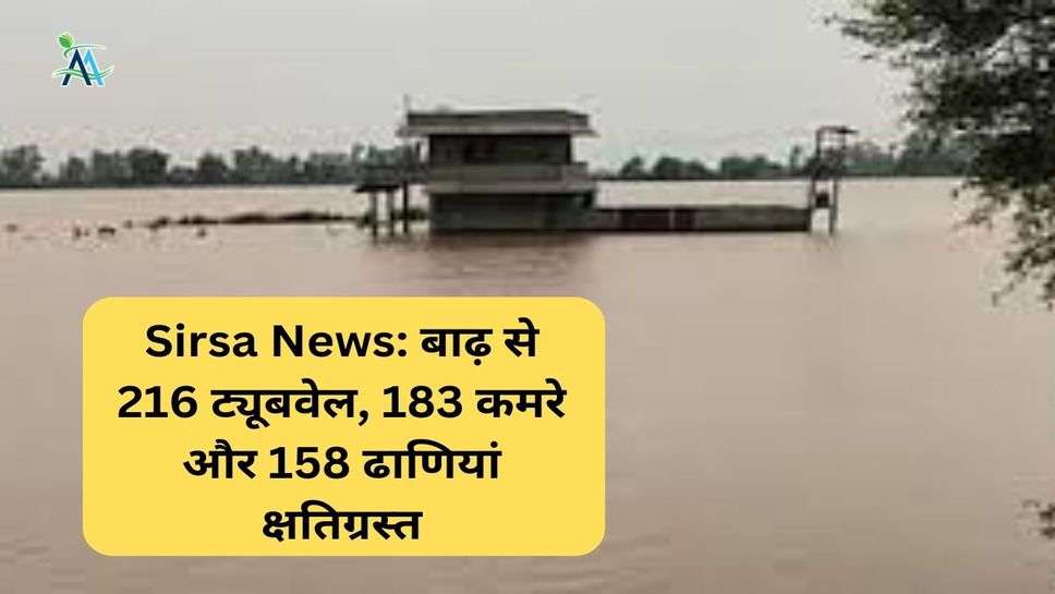 Sirsa News: बाढ़ से 216 ट्यूबवेल, 183 कमरे और 158 ढाणियां क्षतिग्रस्त