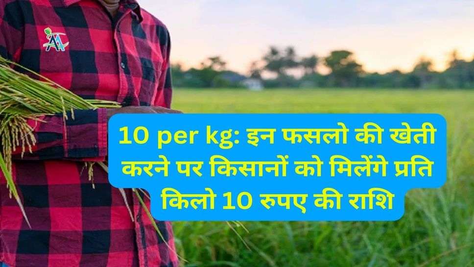 10 per kg: इन फसलो की खेती करने पर किसानों को मिलेंगे प्रति किलो 10 रुपए की राशि