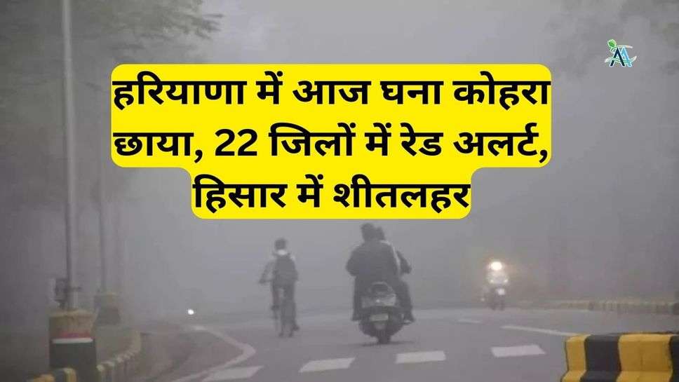 Haryana Weather News: हरियाणा में आज घना कोहरा छाया, 22 जिलों में रेड अलर्ट, हिसार में शीतलहर
