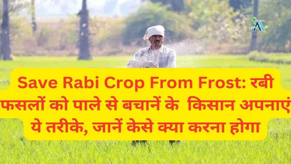 Save Rabi Crop From Frost: रबी फसलों को पाले से बचानें के  किसान अपनाएं ये तरीके, जानें केसे क्या करना होगा