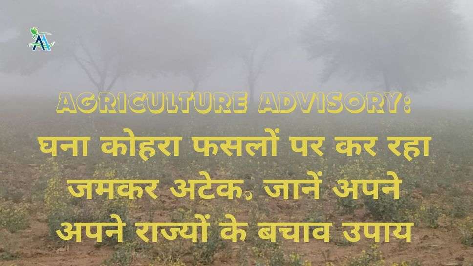 Agriculture Advisory: घना कोहरा फसलों पर कर रहा जमकर अटेक, जानें अपने अपने राज्यों के बचाव उपाय