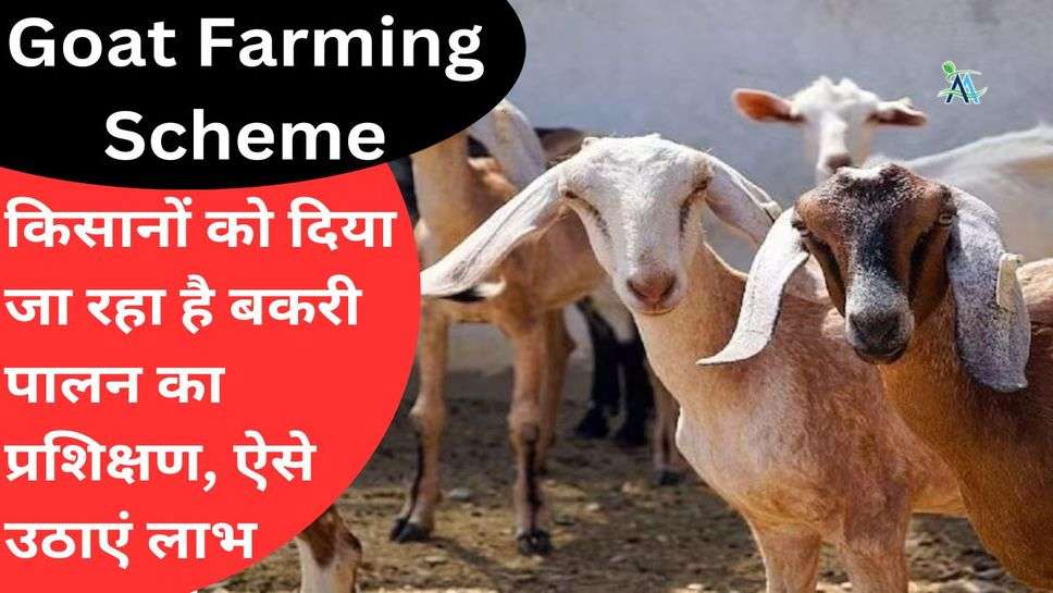 Goat Farming Scheme: किसानों को दिया जा रहा है बकरी पालन का प्रशिक्षण, ऐसे उठाएं लाभ