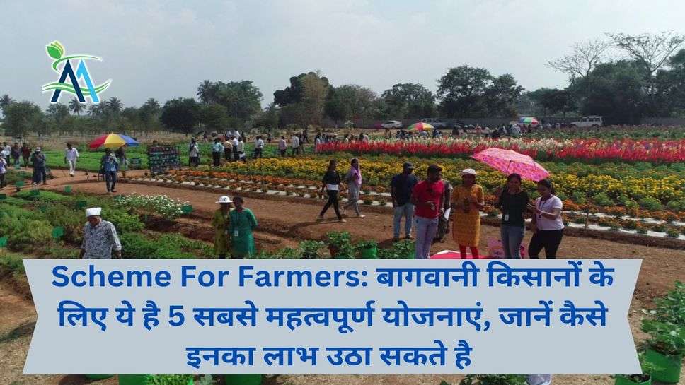 Scheme For Farmers: बागवानी किसानों के लिए ये है 5 सबसे महत्वपूर्ण योजनाएं, जानें कैसे इनका लाभ उठा सकते है