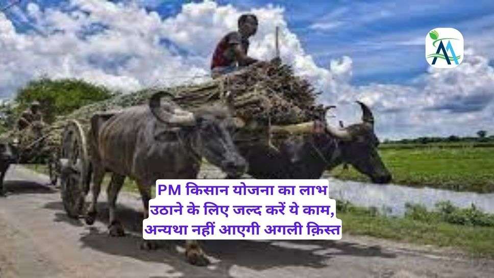 PM किसान योजना का लाभ उठाने के लिए जल्द करें ये काम, अन्यथा नहीं आएगी अगली क़िस्त