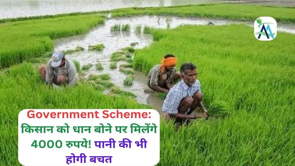 Government Scheme: किसान को धान बोने पर मिलेंगे 4000 रुपये! पानी की भी होगी बचत