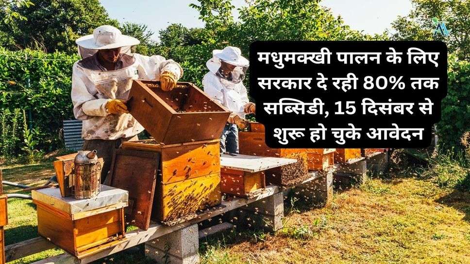 Beekeeping: मधुमक्खी पालन के लिए सरकार दे रही 80% तक सब्सिडी, 15 दिसंबर से शुरू हो चुके आवेदन