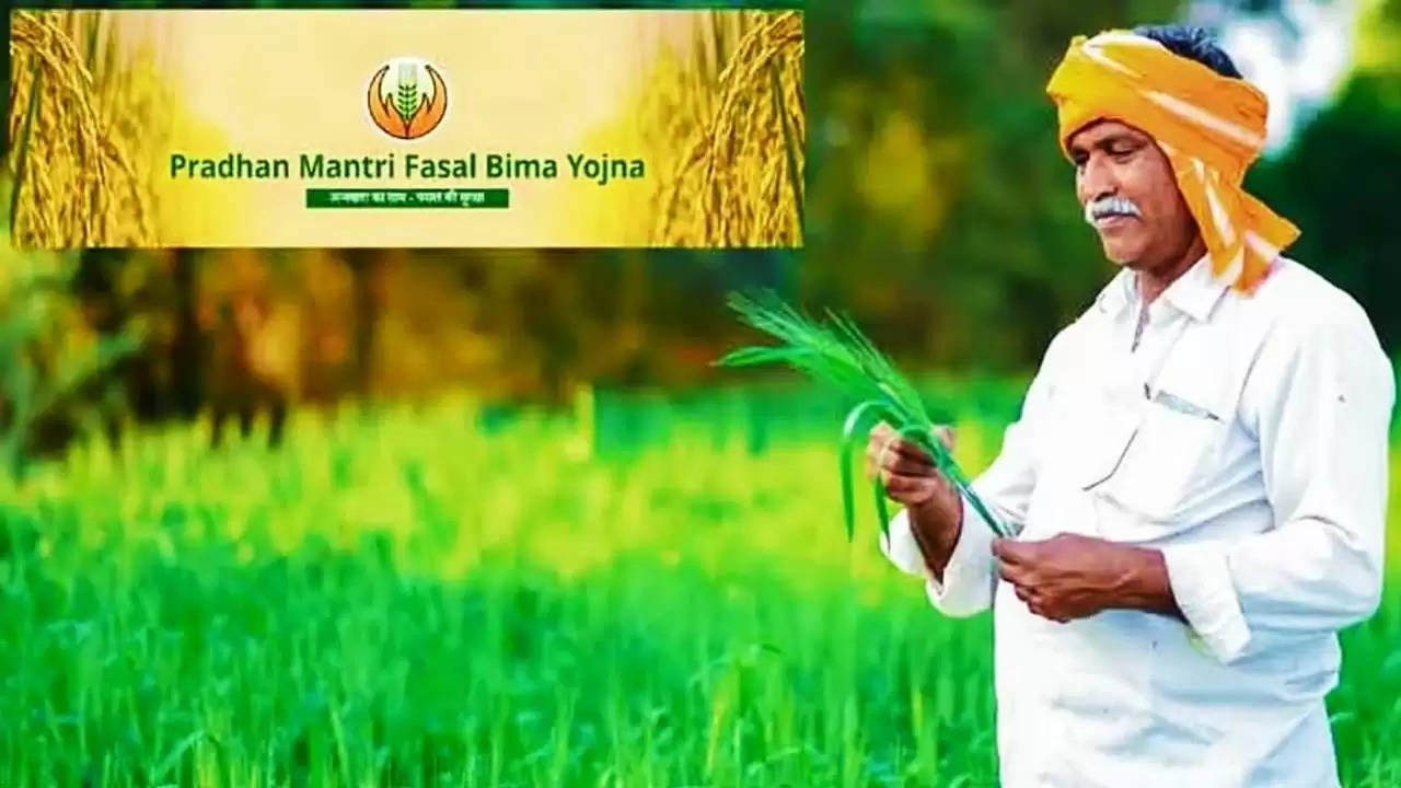 Rabi Season Claim Haryana 2024: हरियाणा के इन सात जिलों के किसानों के लिए राहत भरी खबर, फसल बीमा क्लेम हुआ जारी