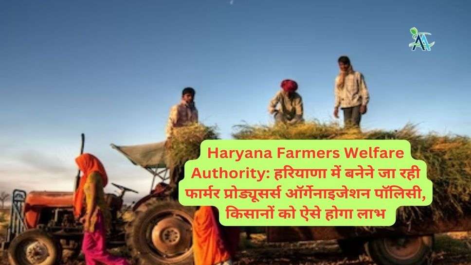 Haryana Farmers Welfare Authority: हरियाणा में बनेने जा रही फार्मर प्रोड्यूसर्स ऑर्गेनाइजेशन पॉलिसी, किसानों को ऐसे होगा लाभ