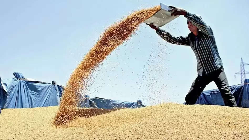Bonus on Wheat: किसानों को गेहूं पर मिलेगा 125 रुपये प्रति क्विंटल बोनस, रजिस्ट्रेशन शुरू