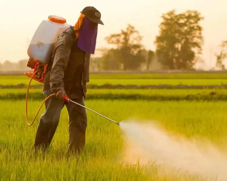 pesticides for crops: कीटनाशक बेचने के लिए केंद्र सरकार ने बनाया नया  नियम, जान लें वर्ना नहीं मिलेगा लाइसेंस