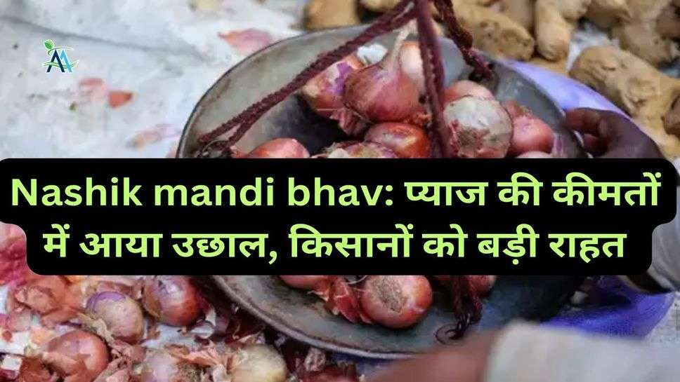 Nashik mandi bhav: प्याज की कीमतों में आया उछाल, किसानों को बड़ी राहत