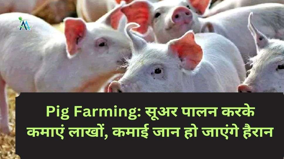 Pig Farming: सूअर पालन करके कमाएं लाखों, कमाई जान हो जाएंगे हैरान
