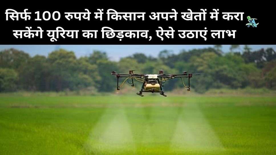 Urea Spraying by Drone: सिर्फ 100 रुपये में किसान अपने खेतों में करा सकेंगे यूरिया का छिड़काव, ऐसे उठाएं लाभ