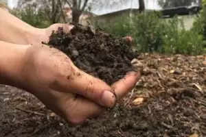 कैसे करें मिट्टी की उर्वरता में सुधार, यहां जानिए पूरी जानकारी