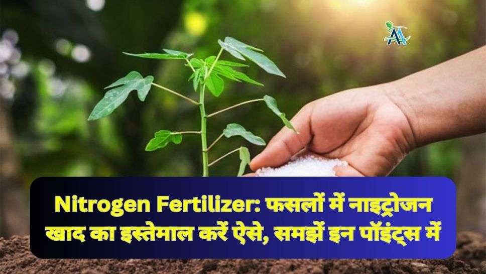 Nitrogen Fertilizer: फसलों में नाइट्रोजन खाद का इस्तेमाल करें ऐसे, समझें इन पॉइंट्स में
