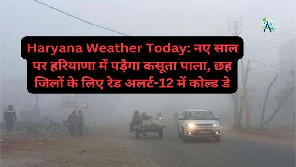 Haryana Weather Today: नए साल पर हरियाणा में पड़ैगा कसूता पाला, छह जिलों के लिए रेड अलर्ट-12 में कोल्ड डे