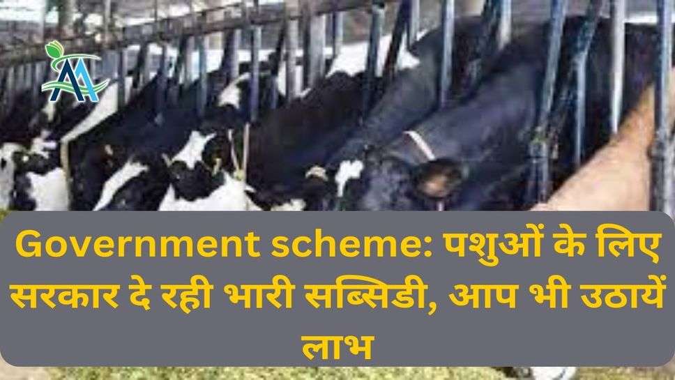 Government scheme: पशुओं के लिए सरकार दे रही भारी सब्सिडी, आप भी उठायें लाभ