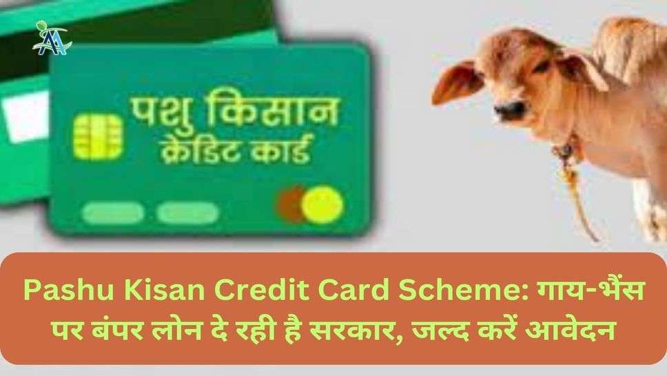 Pashu Kisan Credit Card Scheme: गाय-भैंस पर बंपर लोन दे रही है सरकार, जल्द करें आवेदन