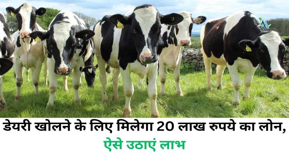 Dairy Farming: डेयरी खोलने के लिए मिलेगा 20 लाख रुपये का लोन, ऐसे उठाएं लाभ
