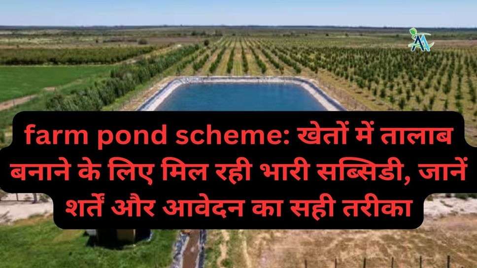 farm pond scheme: खेतों में तालाब बनाने के लिए मिल रही भारी सब्सिडी, जानें  शर्तें और आवेदन का सही तरीका