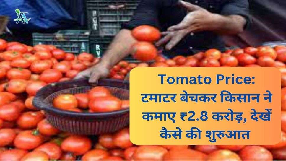 Tomato Price: टमाटर बेचकर किसान ने कमाए ₹2.8 करोड़, देखें कैसे की शुरुआत