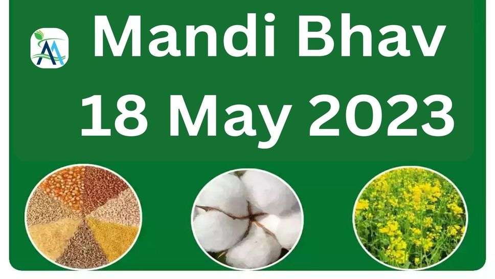 Mandi Bhav 18 May 2023: हरियाणा और राजस्थान की मंडियों के जानें आज के ताज़ा भाव 