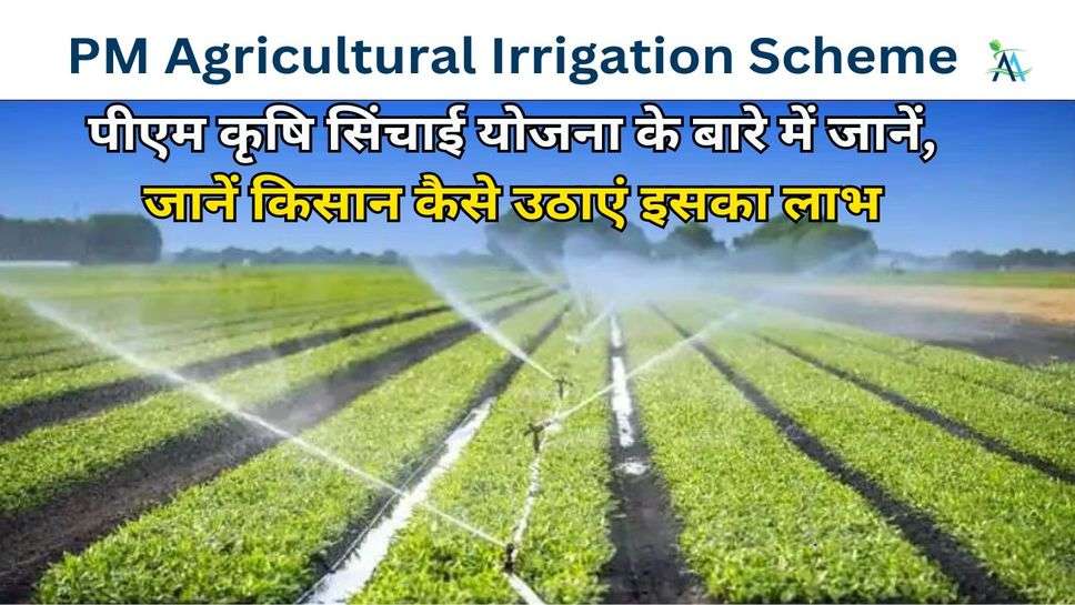PM Agricultural Irrigation Scheme: पीएम कृषि सिंचाई योजना के बारे में जानें, जानें किसान कैसे उठाएं इसका लाभ