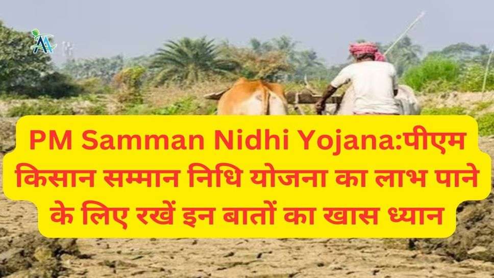 PM Samman Nidhi Yojana:पीएम किसान सम्मान निधि योजना का लाभ पाने के लिए रखें इन बातों का खास ध्यान
