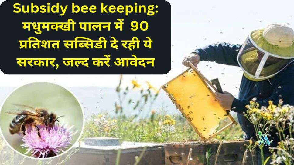 Subsidy bee keeping: मधुमक्खी पालन में  90 प्रतिशत सब्सिडी दे रही ये सरकार, जल्द करें आवेदन