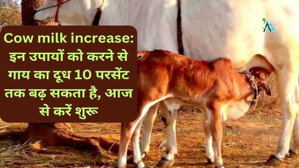 Cow milk increase: इन उपायों को करने से गाय का दूध 10 परसेंट तक बढ़ सकता है, आज से करें शुरू