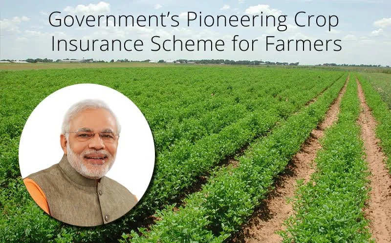 PM Crop Insurance Scheme: फसल बीमा प्रीमियम पर सरकार देती है 50 फीसदी सब्सिडी, लाभ लेने के लिए जानें पूरी प्रक्रिया