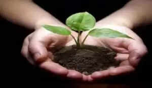 कैसे करें मिट्टी की उर्वरता में सुधार, यहां जानिए पूरी जानकारी