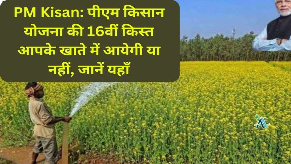 PM Kisan: पीएम किसान योजना की 16वीं किस्त आपके खाते में आयेगी या नहीं, जानें यहाँ