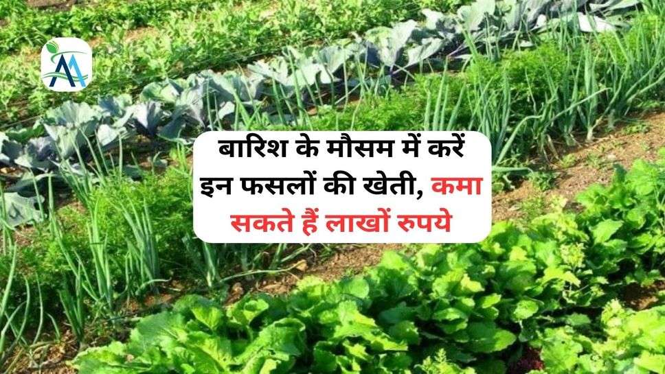 बारिश के मौसम में करें इन फसलों की खेती, कमा सकते हैं लाखों रुपये
