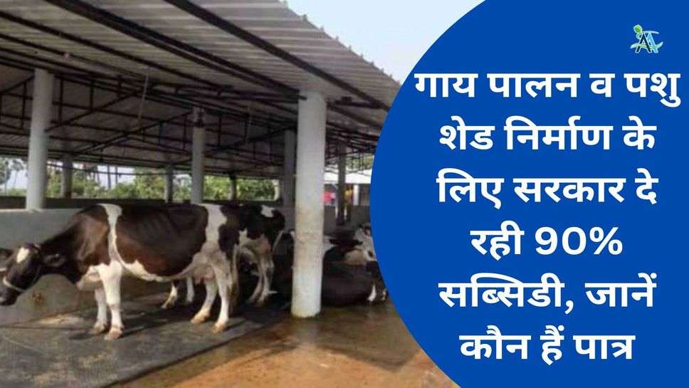 Subsidy: गाय पालन व पशु शेड निर्माण के लिए सरकार दे रही 90% सब्सिडी, जानें कौन हैं पात्र