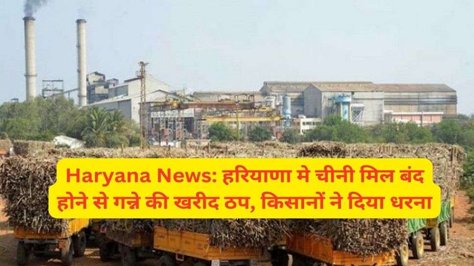 Haryana News: हरियाणा मे चीनी मिल बंद होने से गन्ने की खरीद ठप, किसानों ने दिया धरना
