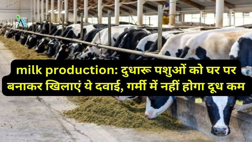 milk production: दुधारू पशुओं को घर पर बनाकर खिलाएं ये दवाई, गर्मी में नहीं होगा दूध कम