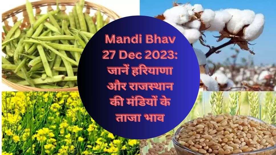 Mandi Bhav 27 Dec 2023: जानें हरियाणा और राजस्थान की मंडियों के ताजा भाव