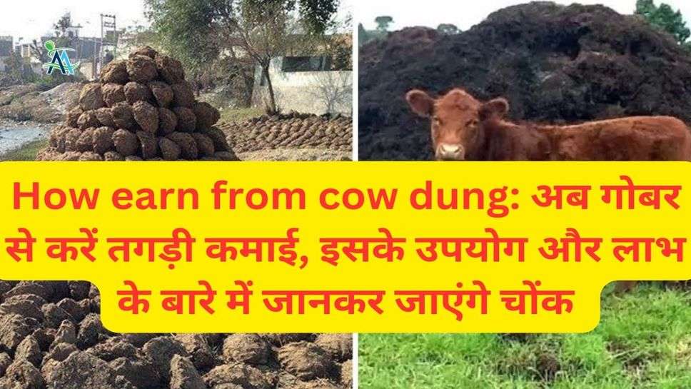 How earn from cow dung: अब गोबर से करें तगड़ी कमाई, इसके उपयोग और लाभ के बारे में जानकर जाएंगे चोंक