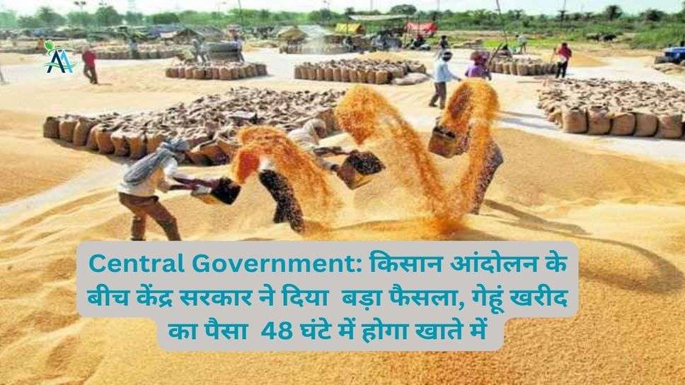 Central Government: किसान आंदोलन के बीच केंद्र सरकार ने दिया  बड़ा फैसला, गेहूं खरीद का पैसा  48 घंटे में होगा खाते में