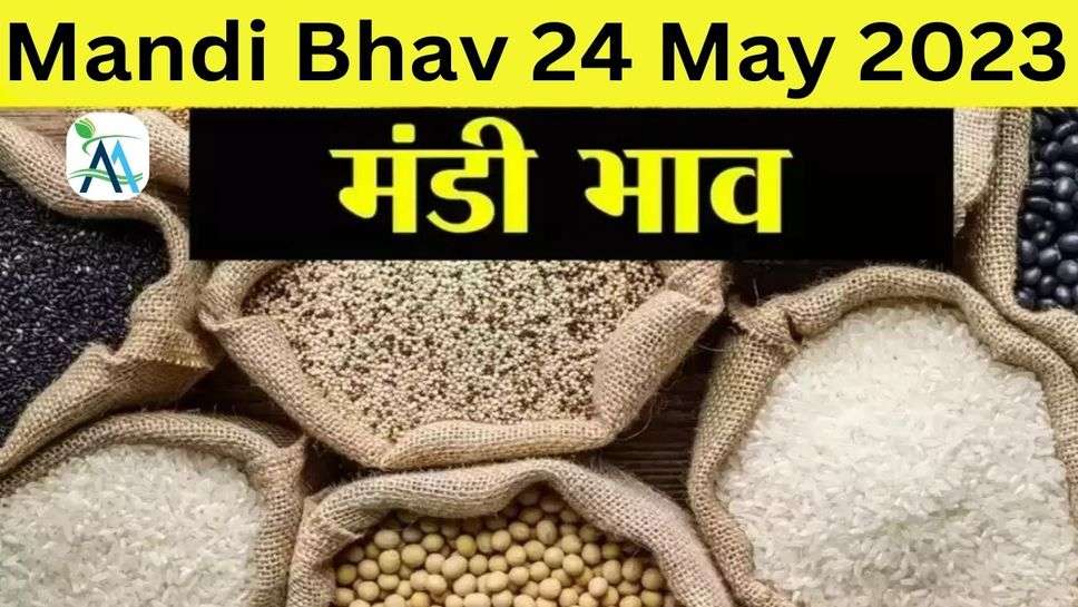 Mandi Bhav 24 May 2023: जानें राजस्थान और हरियाणा मंडियों के ताजा भाव