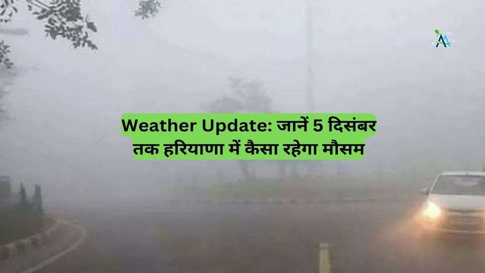 Weather Update: जानें 5 दिसंबर तक हरियाणा में कैसा रहेगा मौसम