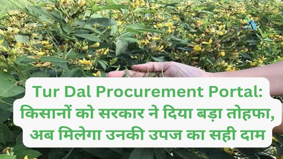 Tur Dal Procurement Portal: किसानों को सरकार ने दिया बड़ा तोहफा, अब मिलेगा उनकी उपज का सही दाम