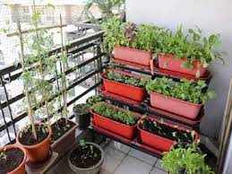 Urban Gardening: अब शहर के छोटे-छोटे घरों में भी ले सकते हैं गार्डनिंग का मजा, इन तरीकों से करें गार्डनिंग