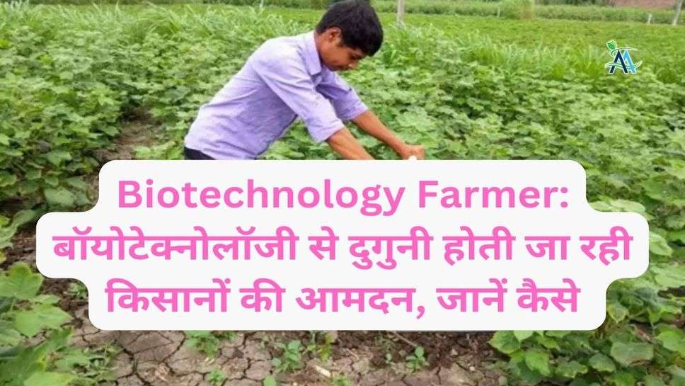Biotechnology Farmer: बॉयोटेक्नोलॉजी से दुगुनी होती जा रही किसानों की आमदन, जानें कैसे