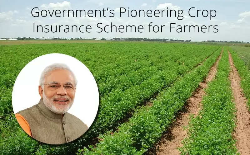 Prime Minister Crop Insurance Scheme: किसानों को 5 दिन में जारी होंगे बीमा क्लेम, सरकार ने दिए निर्देश