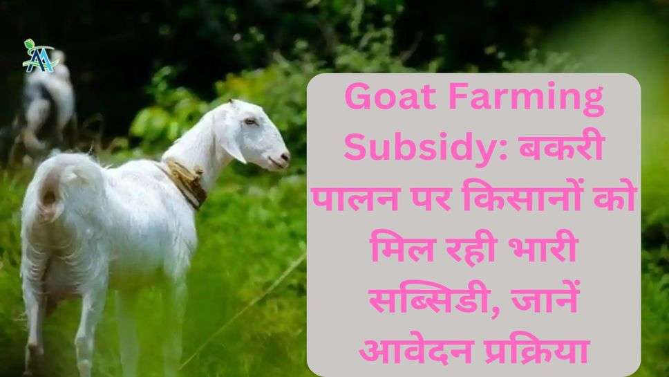 Goat Farming Subsidy: बकरी पालन पर किसानों को मिल रही भारी सब्सिडी, जानें आवेदन प्रक्रिया