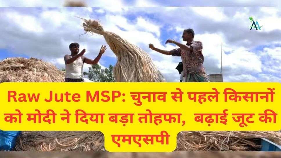 Raw Jute MSP: चुनाव से पहले किसानों को मोदी ने दिया बड़ा तोहफा,  बढ़ाई जूट की एमएसपी