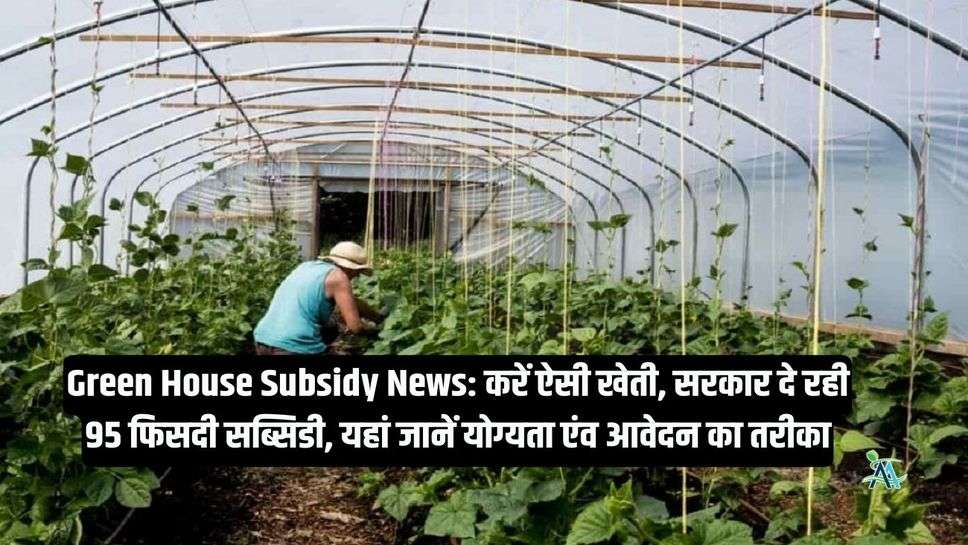 Green House Subsidy News: करें ऐसी खेती, सरकार दे रही 95 फिसदी सब्सिडी, यहां जानें योग्यता एंव आवेदन का तरीका