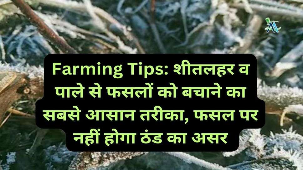Farming Tips: शीतलहर व पाले से फसलों को बचाने का सबसे आसान तरीका, फसल पर नहीं होगा ठंड का असर